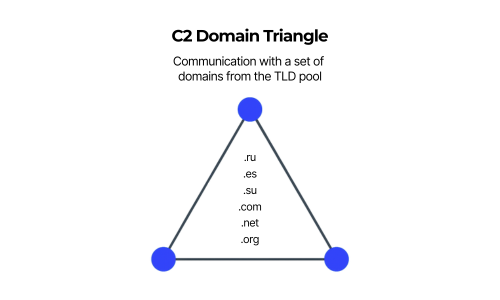 C2 Domain Triangle