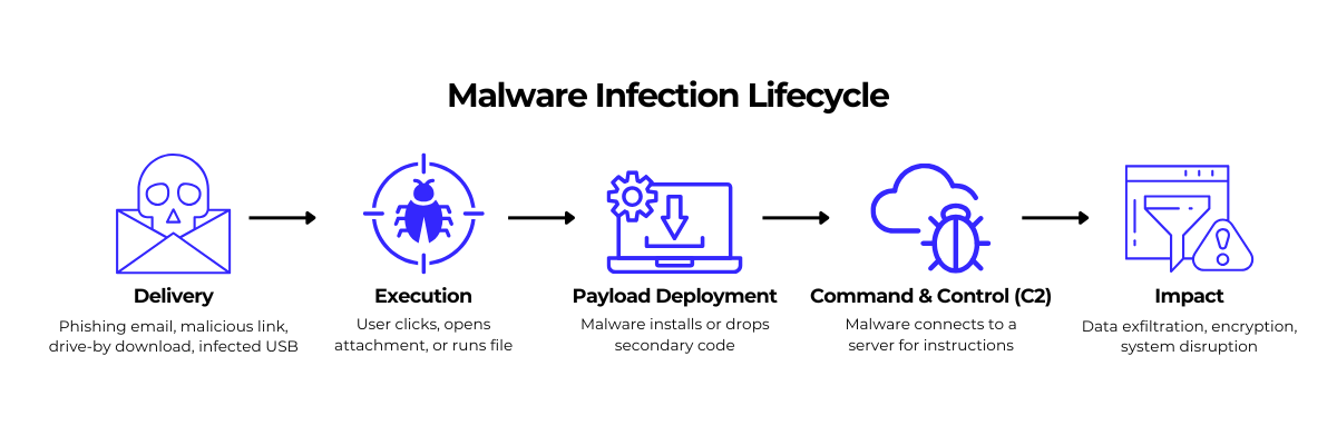 Malware Infection Cycle