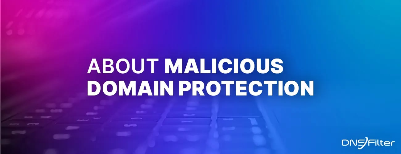 About Malicious Domain Protection
