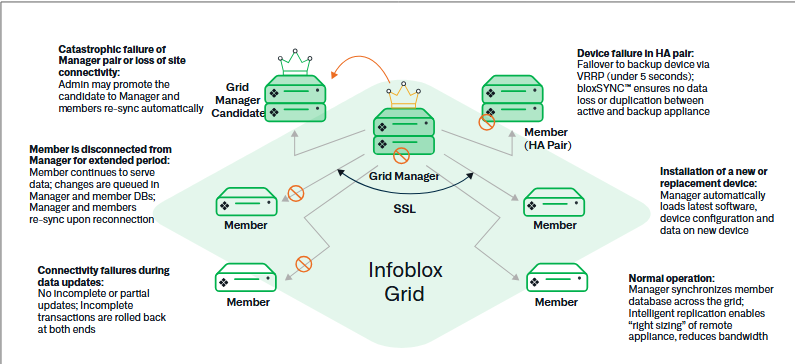 Infoblox Grid