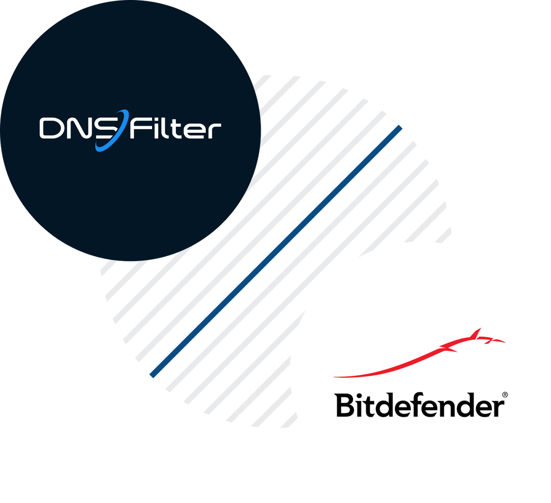 DNSFILTER VS BITDEFENDER