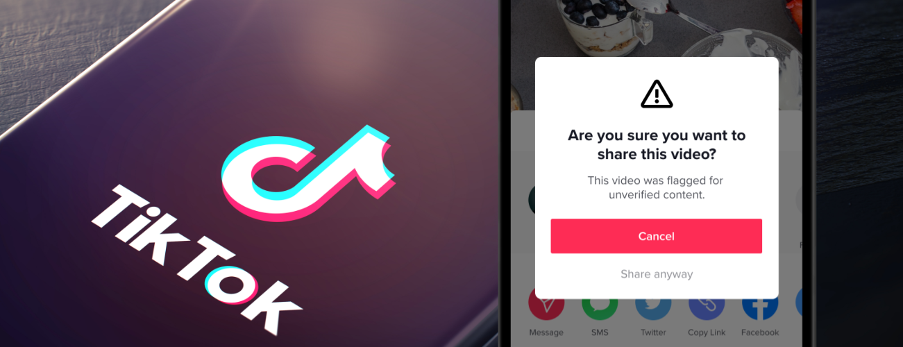 TikTok DNS Queries Spike After Platform Launches Feature to Combat Fake News