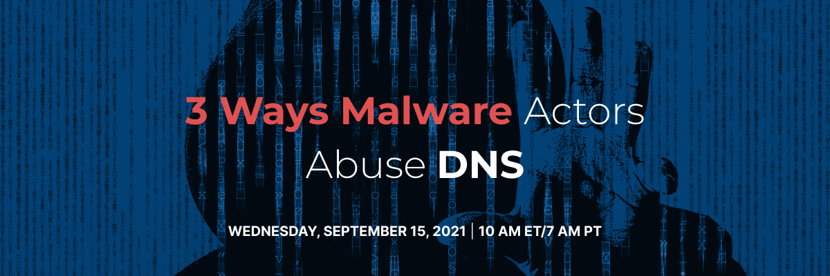 ways malware actors abuse dns webinar image