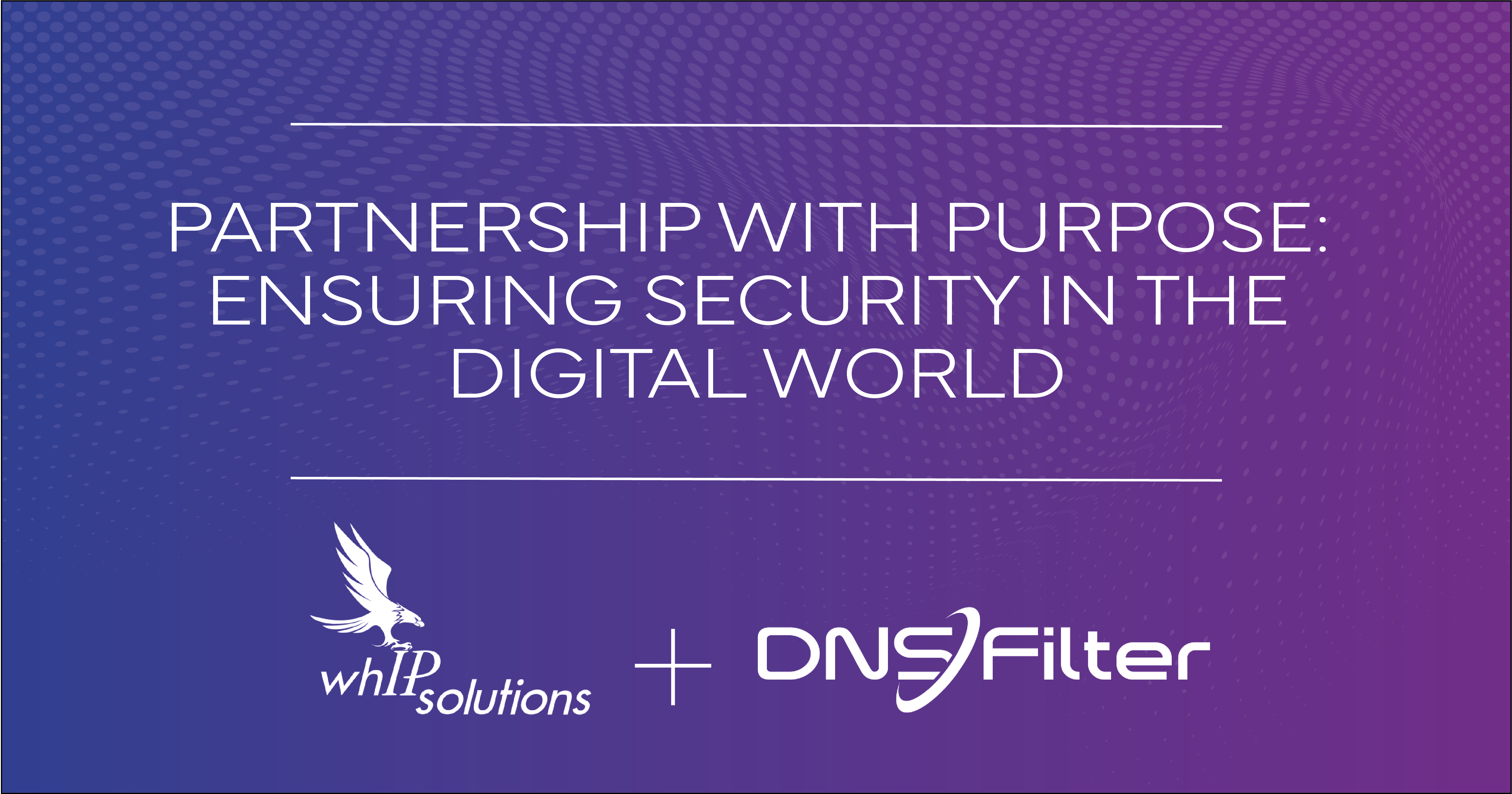 dnsfilter whip solutions partnership
