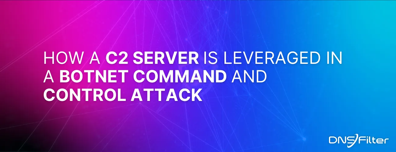 DNSFilter: How to Prevent a Command and Control Attack