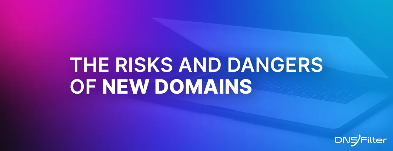 The Risks and Dangers of New Domains